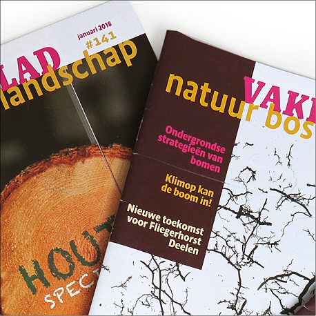 mag1